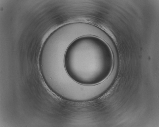 X0000073750944200608171328