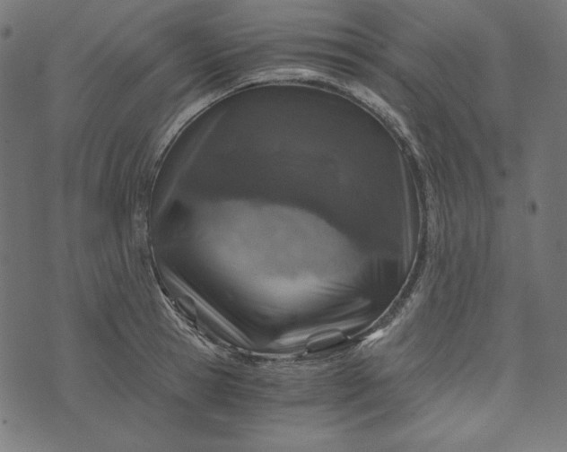 X0000073750945200608171328