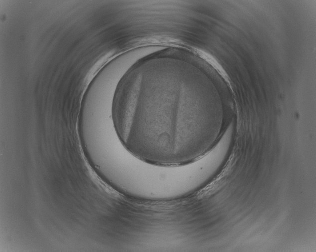 X0000073750946200608171328