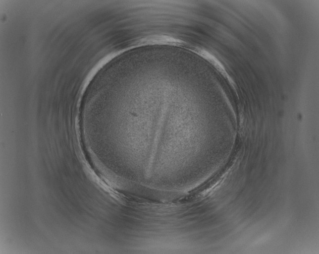 X0000073750947200608171328