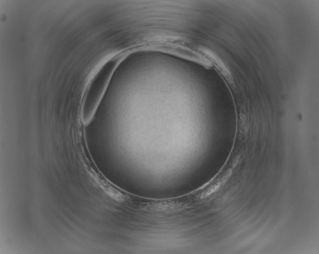 X0000073750948200608171328