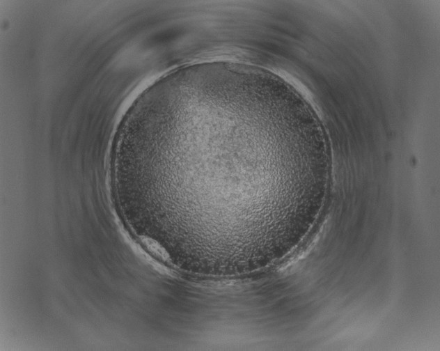 X0000073750949200608171328