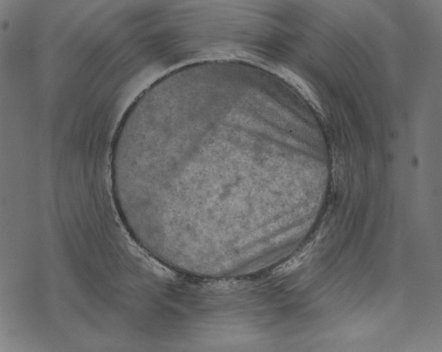 X0000073750950200608171328