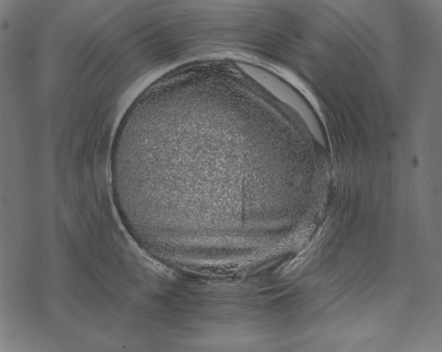 X0000073750951200608171328