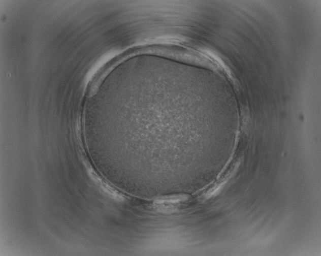 X0000073750952200608171328