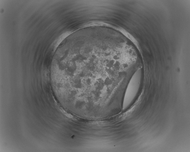 X0000073750953200608171328