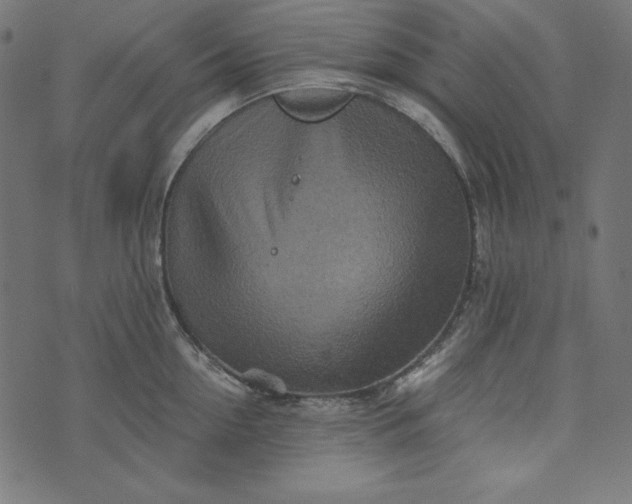 X0000073750954200608171328