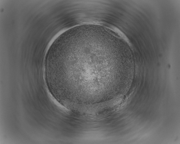 X0000073750955200608171328