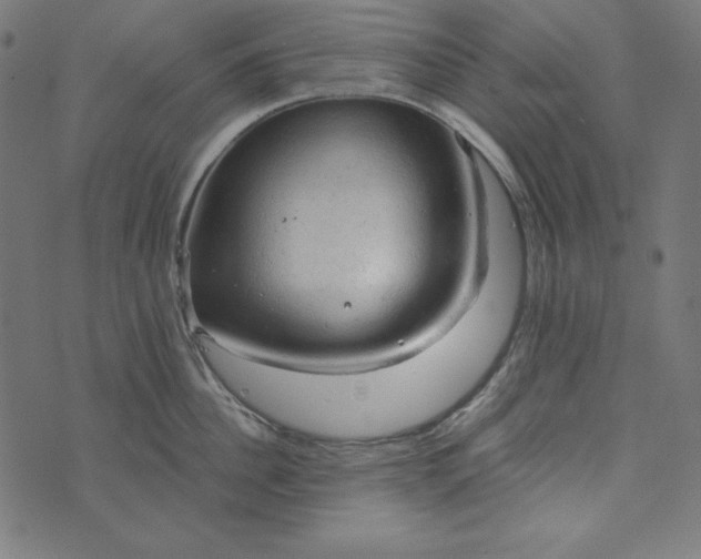 X0000073750956200608171328