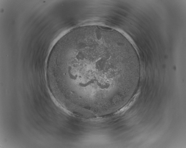 X0000073750957200608171328