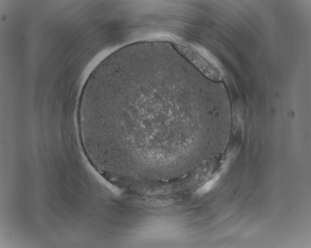 X0000073750959200608171328