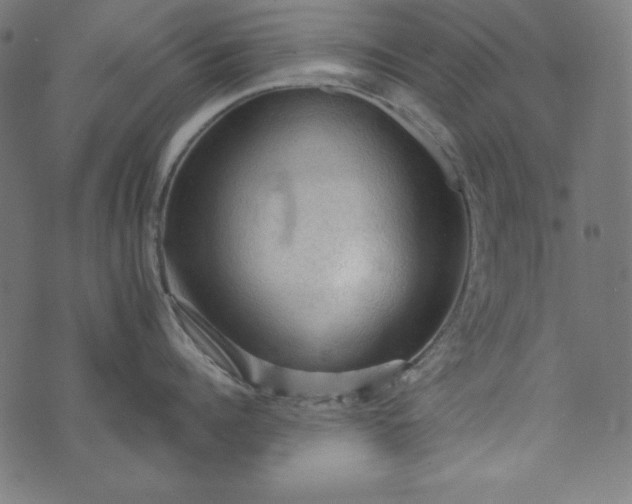 X0000073750960200608171328