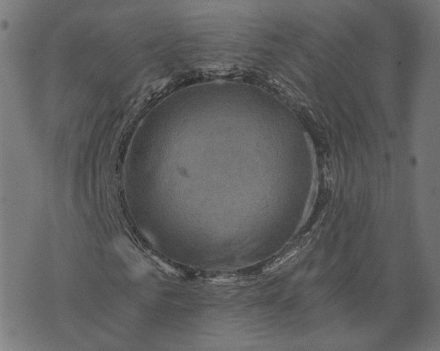 X0000073750961200608171327