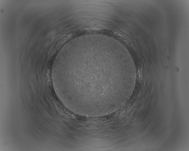 X0000073750963200608171327