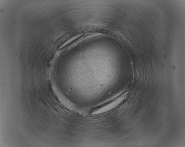 X0000073750964200608171327