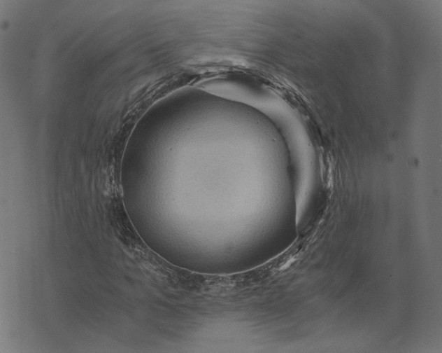 X0000073750965200608171327