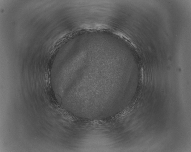 X0000073750966200608171327