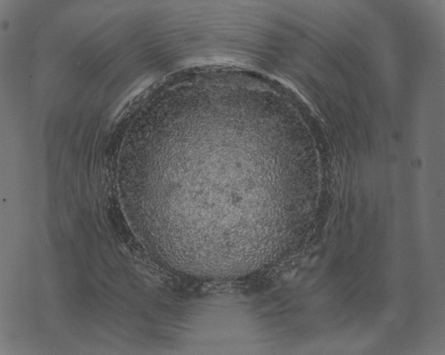 X0000073750967200608171327