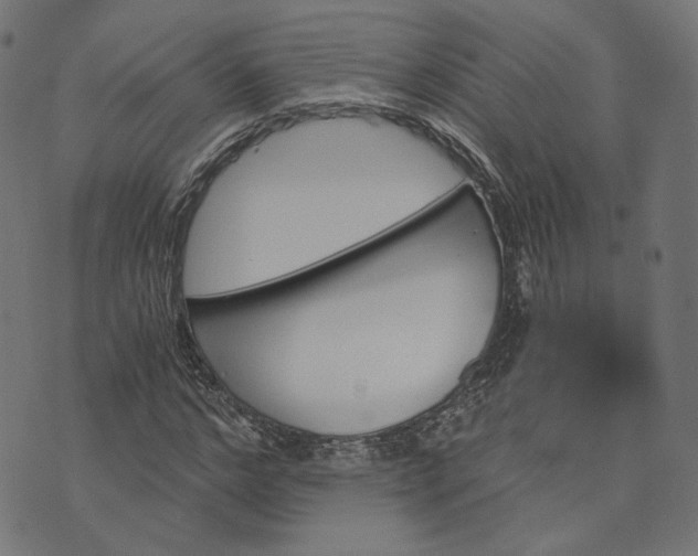 X0000073750968200608171327