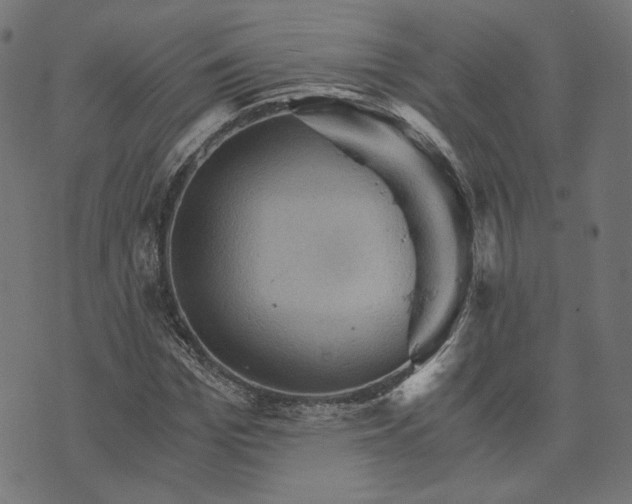 X0000073750969200608171327