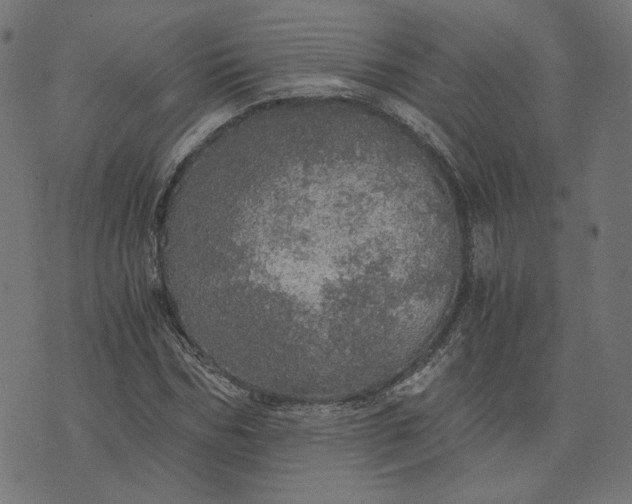 X0000073750970200608171327