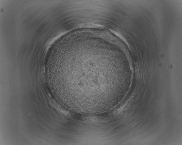 X0000073750971200608171327