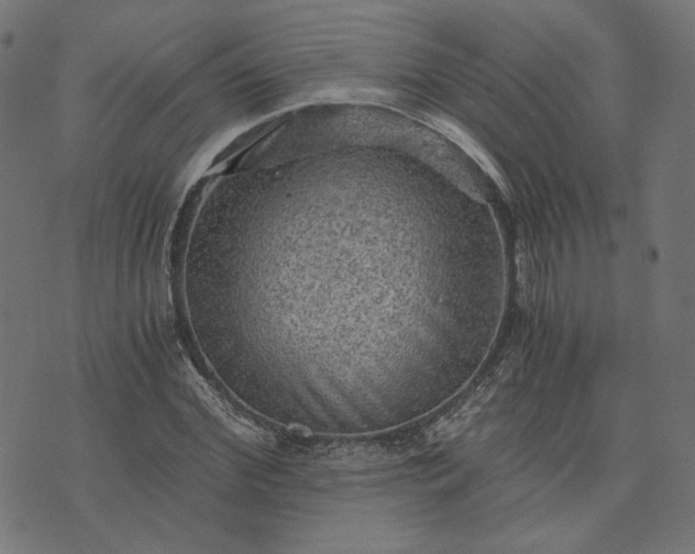 X0000073750972200608171327