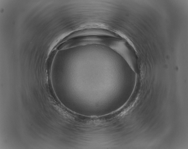 X0000073750973200608171327