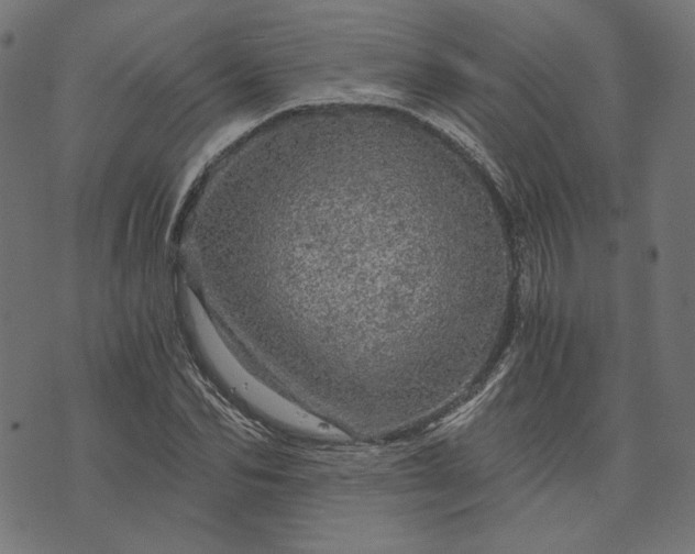 X0000073750974200608171327