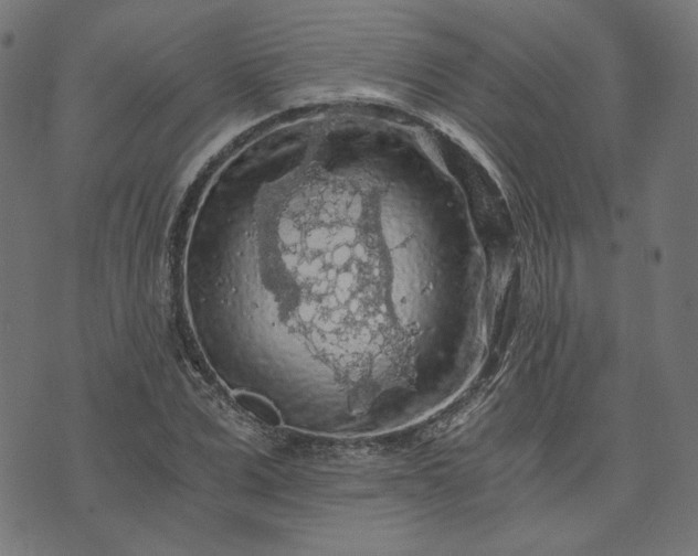 X0000073750975200608171327