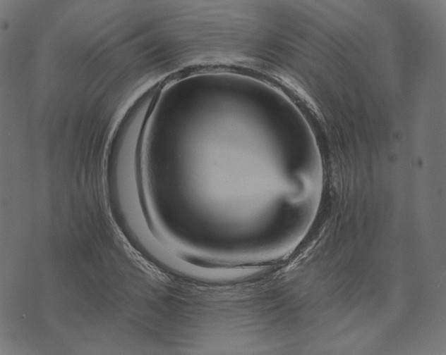 X0000073750976200608171327