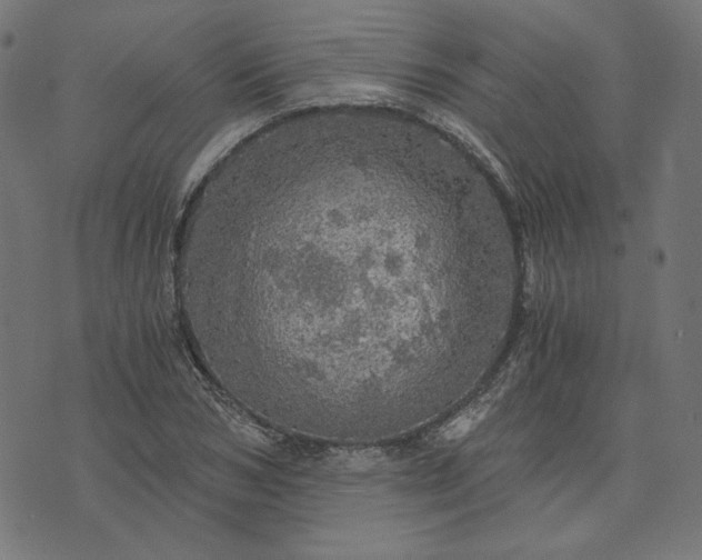 X0000073750978200608171327