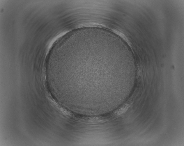 X0000073750979200608171327