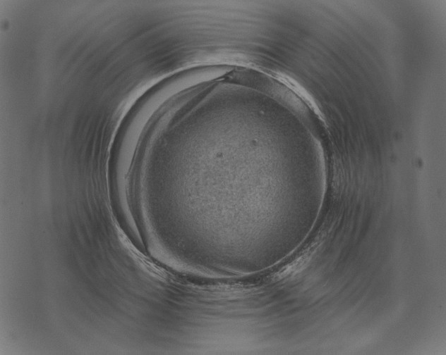 X0000073750980200608171327