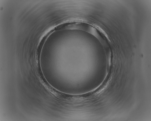 X0000073750981200608171327