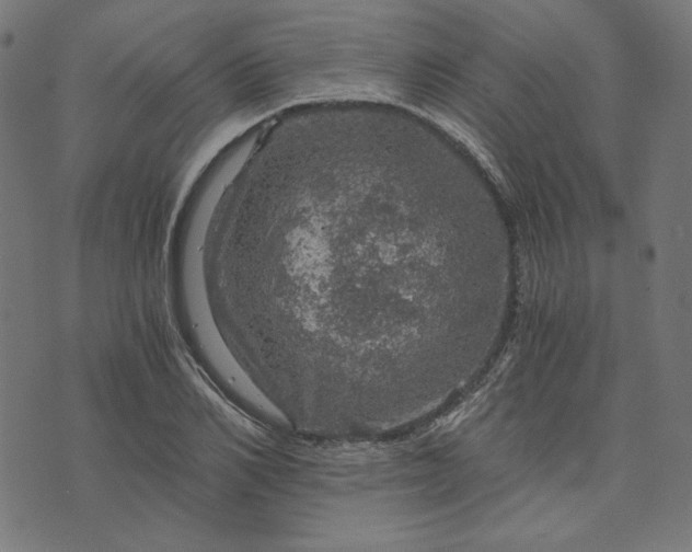 X0000073750982200608171327