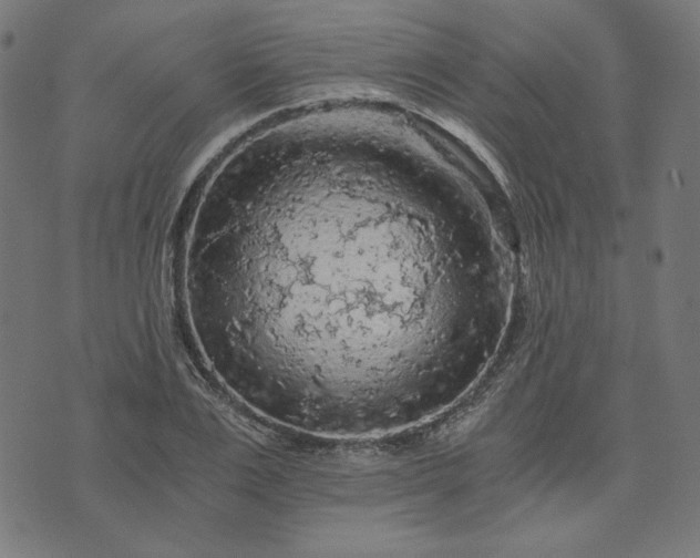 X0000073750983200608171327