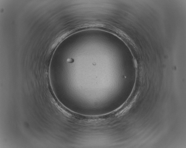 X0000073750985200608171327