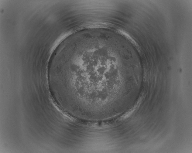 X0000073750986200608171327