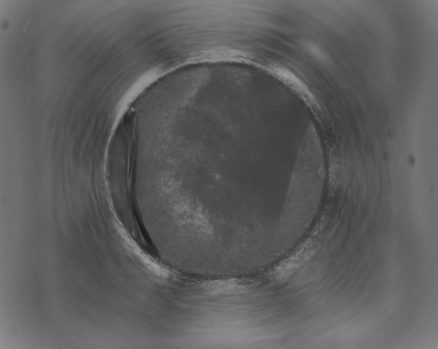 X0000073750990200608171327