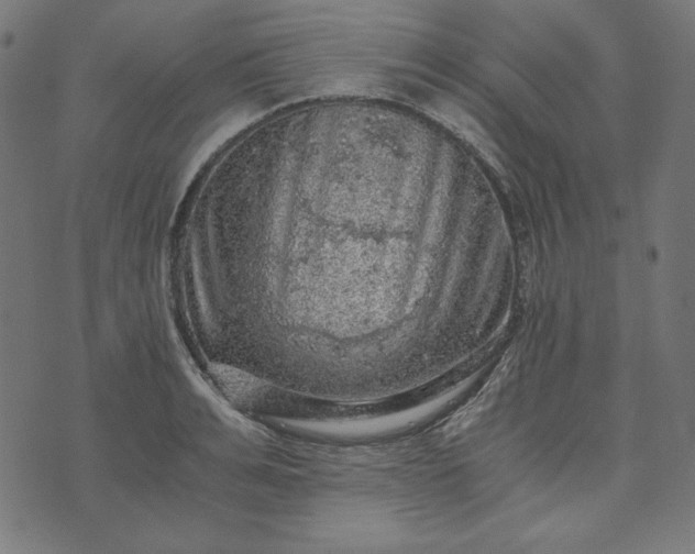 X0000073750991200608171327