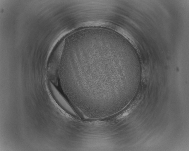 X0000073750992200608171327