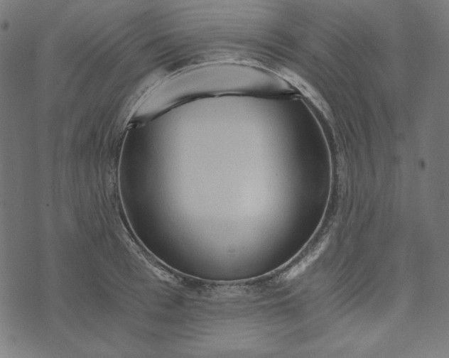 X0000073750993200608171327