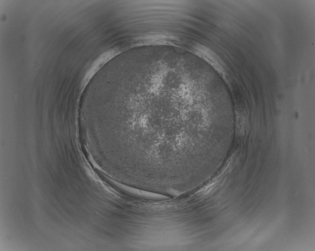 X0000073750994200608171327