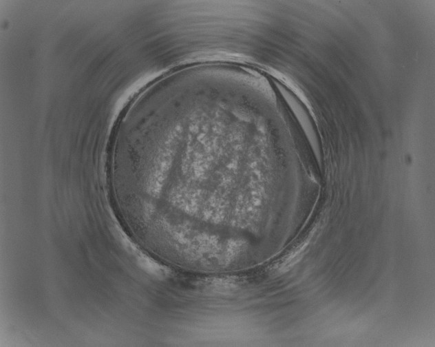 X0000073750995200608171326