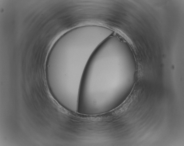 X0000073750996200608171326