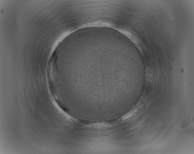 X0000073750998200608171326