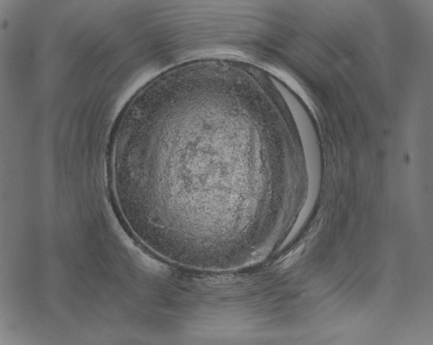 X0000073750999200608171326