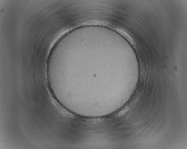 X0000073751000200608171326