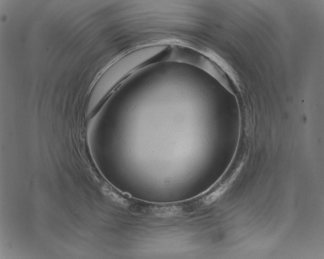 X0000073751001200608171326